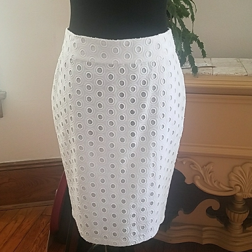 Ann Taylor Petite skirt